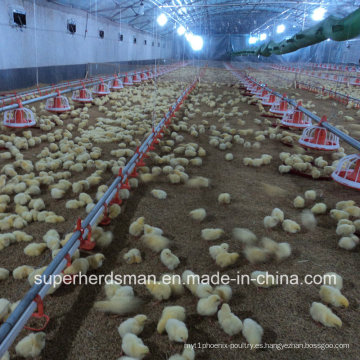 Maquinaria y equipamiento avícola para la producción de pollos de engorde